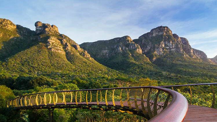Kirstenbosch National Botanical Gardens Walking Tour