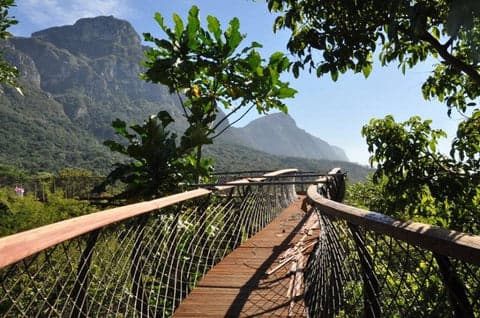 Kirstenbosch National Botanical Gardens