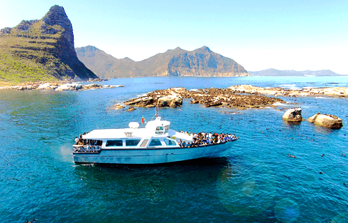 Boat based seal viewing