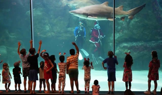 Marine aquarium
