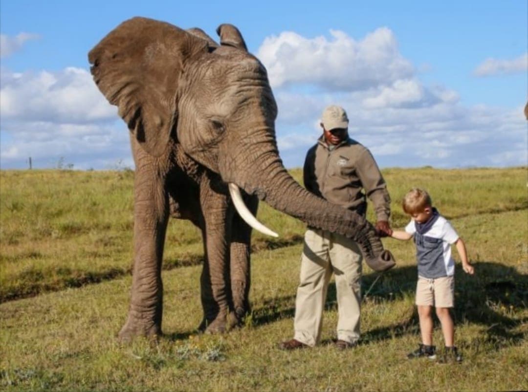 Elephant reserve